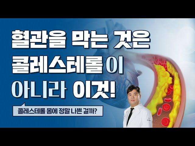 9년 동안 240만 명을 대상으로 연구한 콜레스테롤 수치만큼 중요한 것 (콜레스테롤 1편)