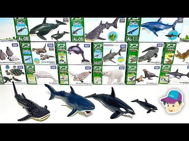 20 NEW AWESOME SEA ANIMALS  - Shark, Dolphin, Penguin, Turtle, Orca, Whale