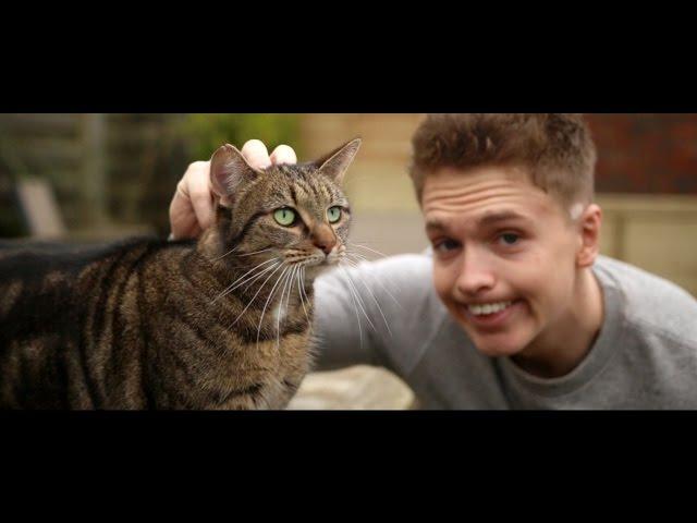 Joe Weller - Kitty (Music Video)