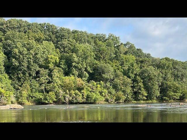 LIVE From The Chattahoochee River Whitewater Creek Dog Hiking Trails