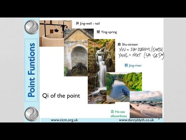 Acupuncture Point Function 2: Yuan-Source Points
