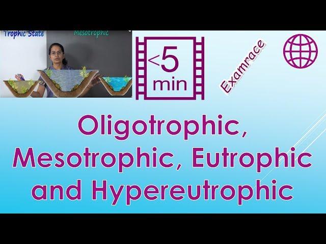 Trophic State: Oligotrophic, Mesotrophic, Eutrophic and Hypereutrophic