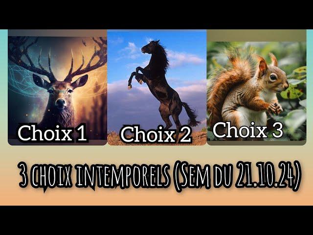 3 choix incluant liens d'âmes anciens  (choix 2 masculin choix 3 feminin)