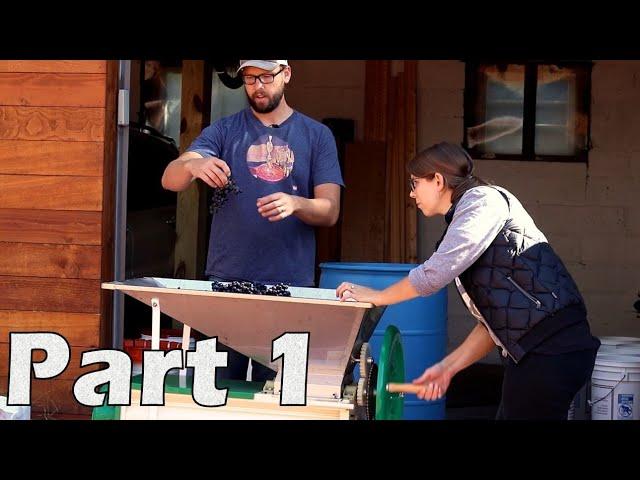 How to Make Red Wine from Grapes - Part 1