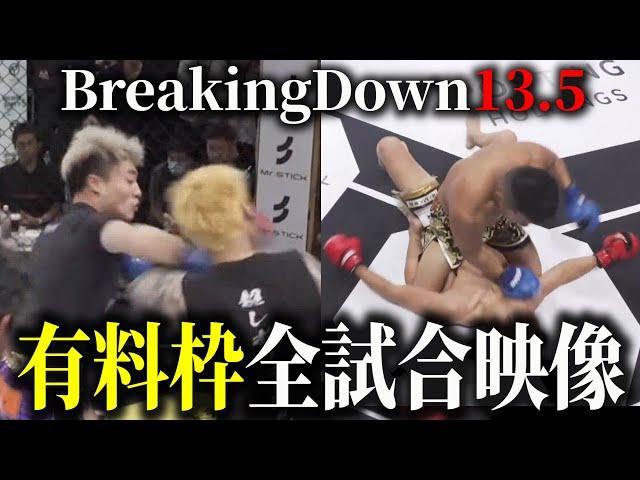 BreakingDown13.5 全試合映像公開【ブレイキングダウン13.5】【朝倉未来】