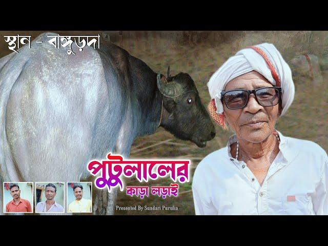 হেঁয়ালি'র গুরু বাসু আর পুটু || SUNDARI PURULIA || PUTULAL MAHATO COMEDY