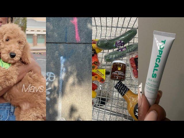 I said yes, picking up the puppy & prep for Florida | Lexlo Atlanta Vlogs