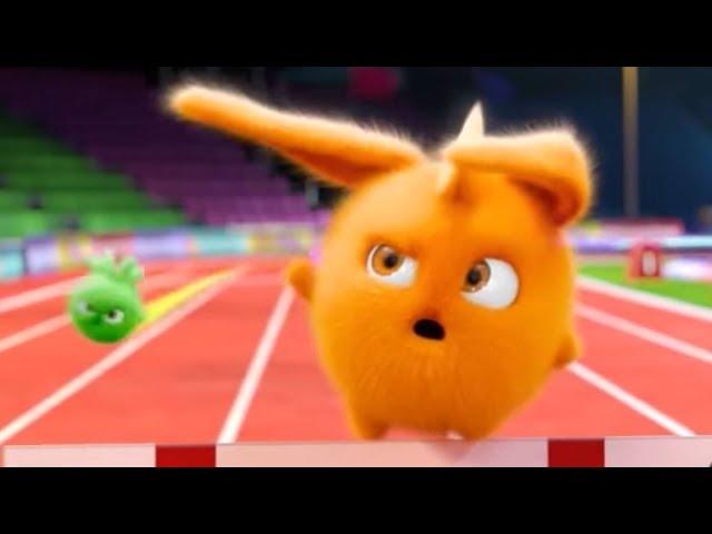 Sunny Bunnies | Turbo The Winner | COMPILATION | Cartoons for Children