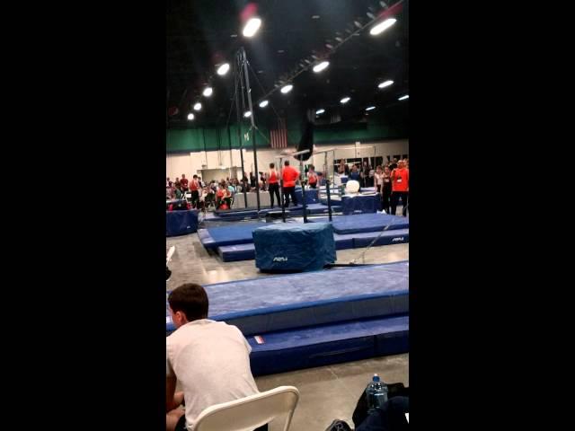 JP's Level 9 Parallel Bars