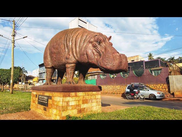 A Walk in Kampala Kamwokya Uganda African Walk Video