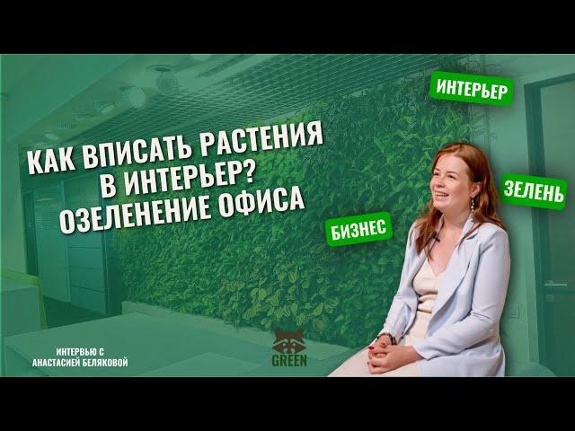 Как вписать растения в интерьер? Озеленение офиса
