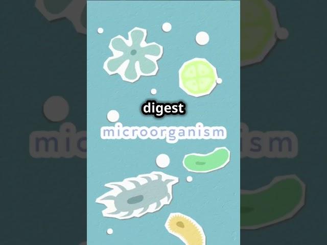 Tiny Titans: Unveiling the Microbial Universe #discoverscience #scienceexplained