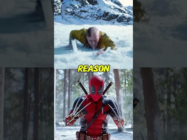 Most people don't know this detail from the movie Deadpool and Wolverine 🟡