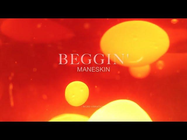 Maneskin -  Beggin'  (Lyrics)