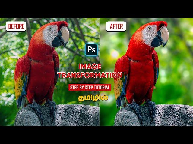 How to blur the background with bokeh and colour grade using photoshop | Adobe photoshop tutorial