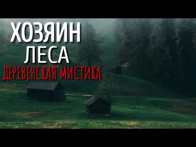 ХОЗЯИН ЛЕСА. Страшные истории про Деревню!. Истории. Деревня. Сибирь. Деревенская Нечисть.