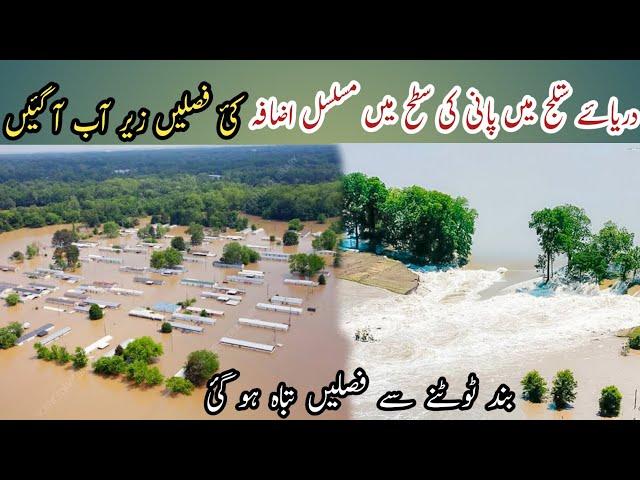 Flood in Panjab River Satalaj/flood Satalaj river/Noorullah99