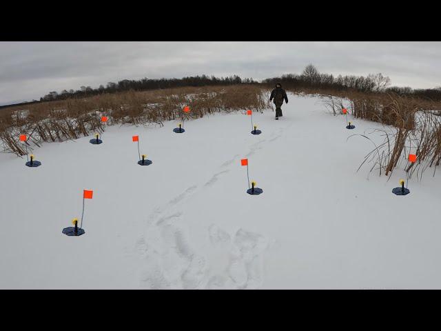 Оставили жерлицы в Лесном заливе! Когда вернулись... Были в Шоке!