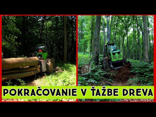 Ťažba dreva s Orvex LT 100,Zetor Proxima, Working in forest 