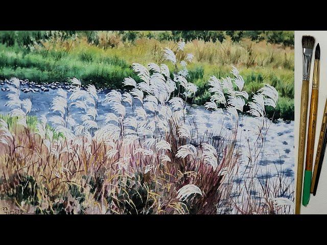 Watercolor Painting Silver grass and Stream