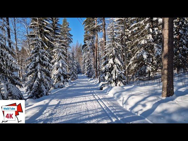 WALKING in Jyväskylä, FINLAND Winter (February) 2023,  Temperature -24°