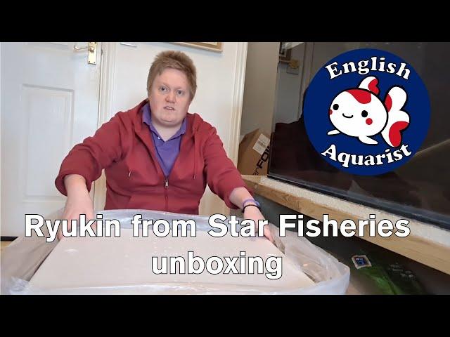 Short tail Ryukin Fancy Goldfish Unboxing from Star Fisheries (BEST  Goldfish Supplier in Europe)