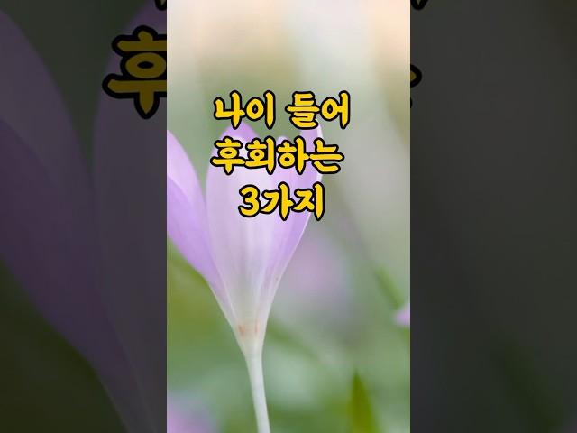 노년 후회 TOP3 / 나이 들어 후회하는 3가지 #노년생활 #명언 #부자의삶