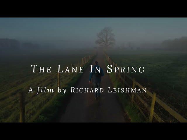 The Lane in spring by drone