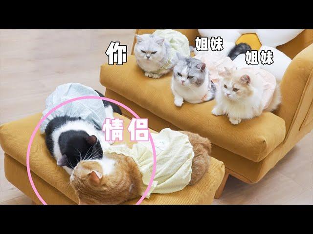 Kitty shaved her belly for medical examination, put on a skirt to hide her shame! | SanHua Cat Live
