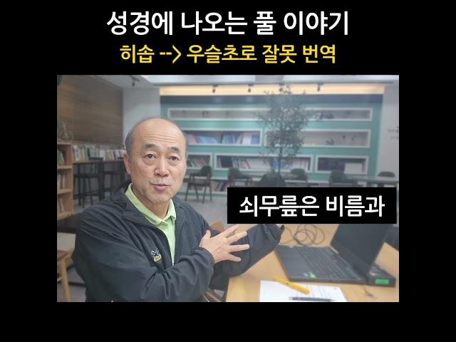 성경에 우슬초(쇠무릎)가 잘못 나왔어..  #새마을_세네갈