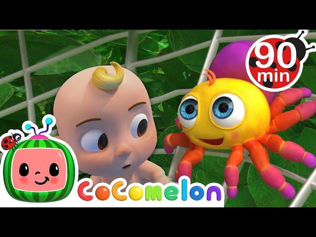 Itsy Bitsy Spider + Many More Nursery Rhymes and Kids Songs | Animals for Kids | Animal Cartoons