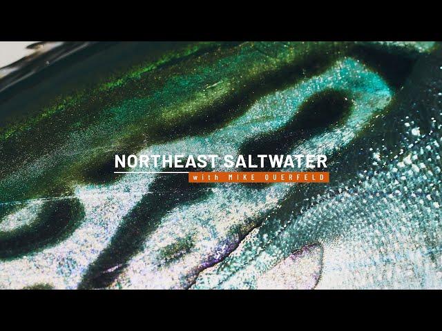 Northeast Saltwater Fly Fishing with Mike Querfeld