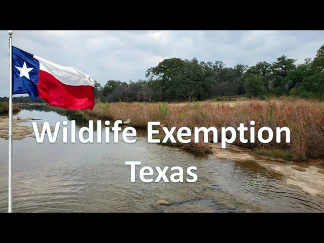 Wildlife Exemption in Texas | Learn how wildlife management in Texas maintains low ag taxes on land!