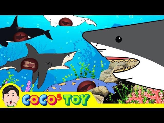 60minㅣCoCosToy  well-made stories best collection 1ㅣbaby shark, cartoon for kidsㅣCoCosToy