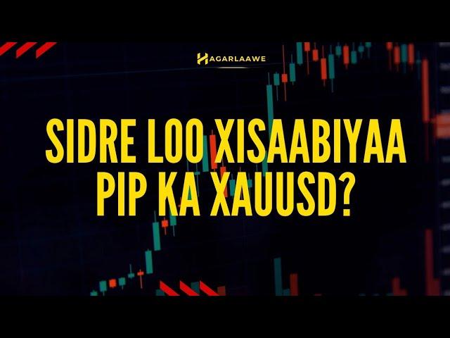 Sidee GOLD loo xisaabiyaa PIP kiisa? Macluumaad Dahabka ku saabsan| XAUUSD|