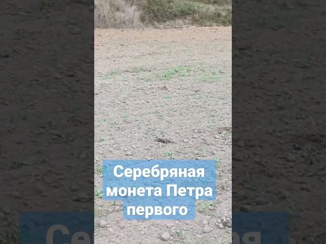 Нашёл серебряную монету Петра первого