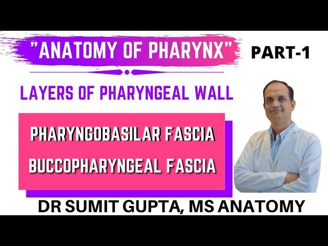 PHARYNX : LAYERS || PHARYNGOBASILAR FASCIA || BUCCOPHARYNGEAL FASCIA || ANATOMY ||