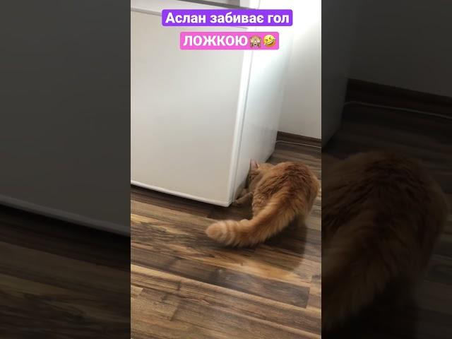 АСЛАН ЗАБИВАЄ ГОЛ… ЛОЖКОЮ
