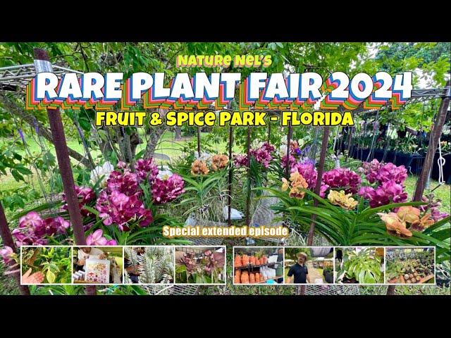 MEGA BIG AROID AND ORCHID FESTIVAL.  The annual Rare Plant Fest held at Fruit and Spice park.