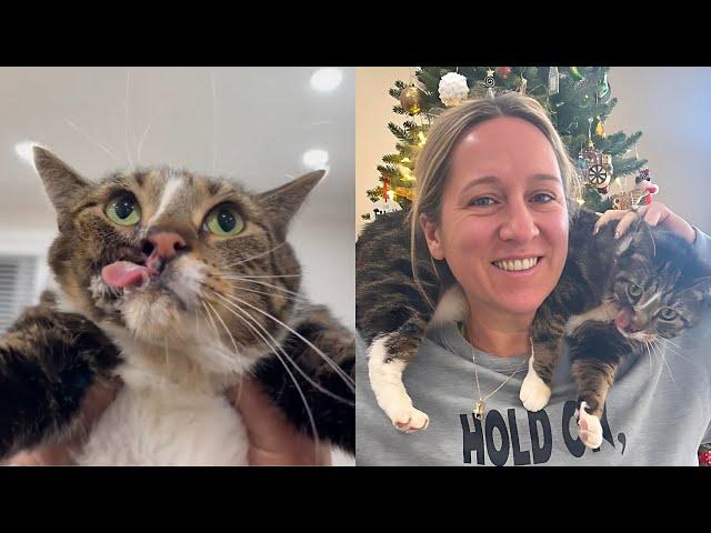 Cat No One Wanted Gets The Absolute Perfect Mom | The Cat Chronicles