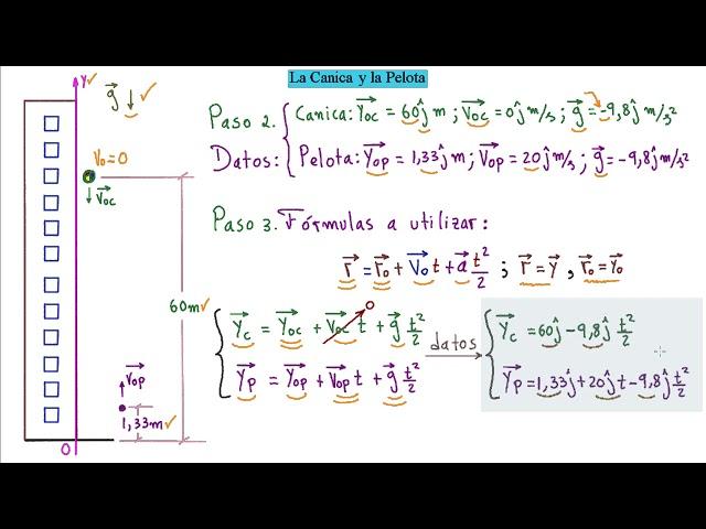 ►Aprende Rápido y Fácil Todo Sobre Movimiento Vertical en Física