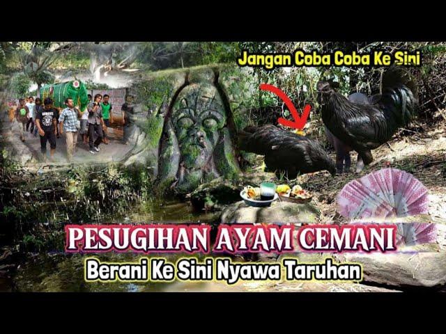 Viral..!! Banyak Di Cari Orang Pesugihan Gunung MINTOROGO Jombang Jawa Timur