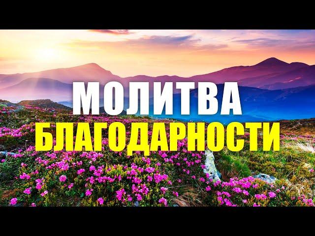 Ежедневная молитва благодарности | Всего 8 минут в день на привлечение любви, процветания и изобилия