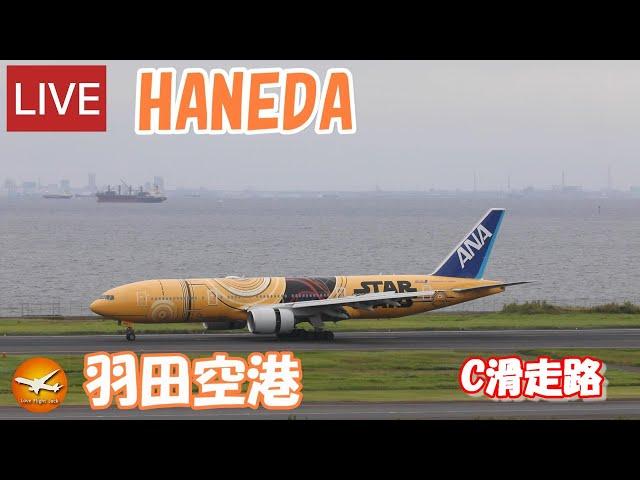 LIVE at  TOKYO　HANEDA　International Airport Plane Spotting　2024.10.23　羽田空港ライブカメラ 羽田空港　HND/RJTT C滑走路