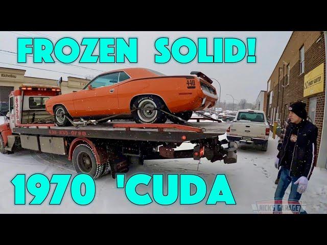 Frozen Cuda! - PLUS 440 Rebuild Work