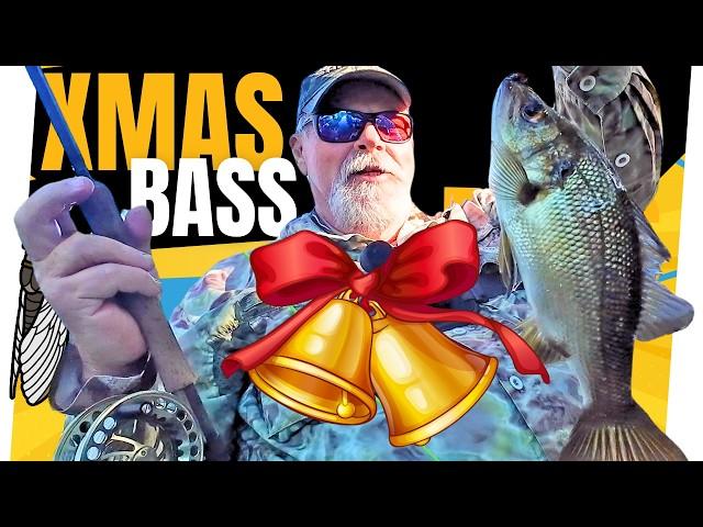 Bass Fishing Adventure On Christmas Morning While Everyone Sleeps!