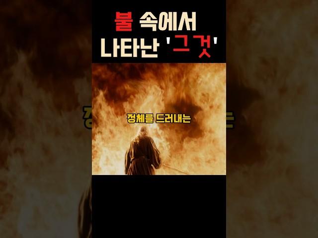 불 속에서 나타난 '그 것' #반지의제왕