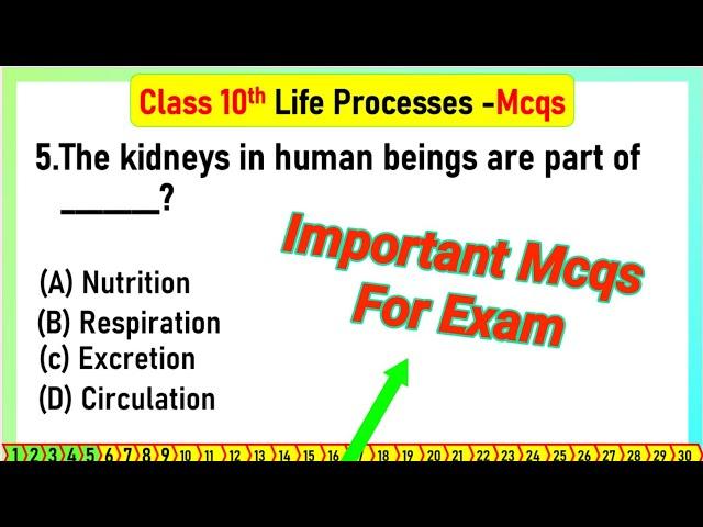 life process mcq class 10 |  MCQ Questions for Class 10 Science Life Process with Answers