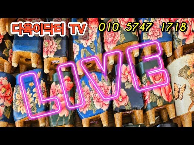 다육이닥터TV  #마멜 속파기 신상#흙사랑신상#노아여인 인어공주#더블루신상#얀산상#들꽃신상#토마루미니#앤오드리햇번# #선영#정스#길분#드앨리스# 초이#토다원냥이.강쥐~