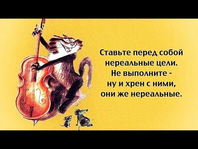 О нас - девочках с юмором и позитивом 